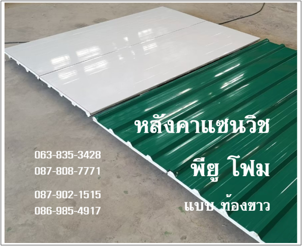 หลังคาแซนวิช พียู เขียวสด ท้องขาว