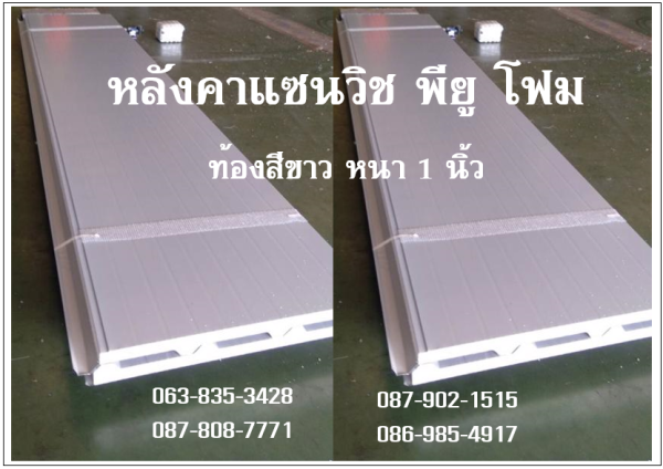 หลังคาแซนวิช พียู เขียวสด ท้องขาว