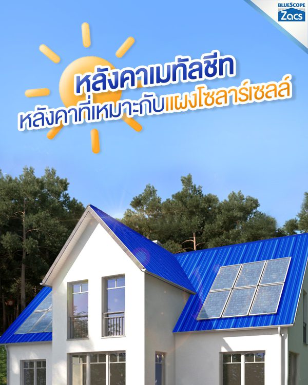 นูโว บลู บลูสโคป แซคส์ (BLUESCOPE ZACS®)