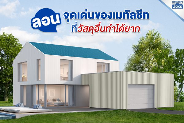แชมพู บลู บลูสโคป แซคส์ (BLUESCOPE ZACS®)
