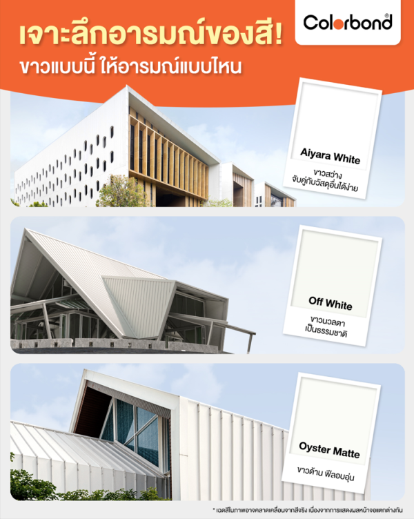 Thredbo White SRI 91 COLORBOND® Steel
