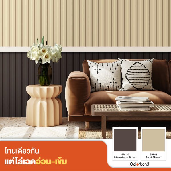 International Brown SRI 40 COLORBOND® Steel
