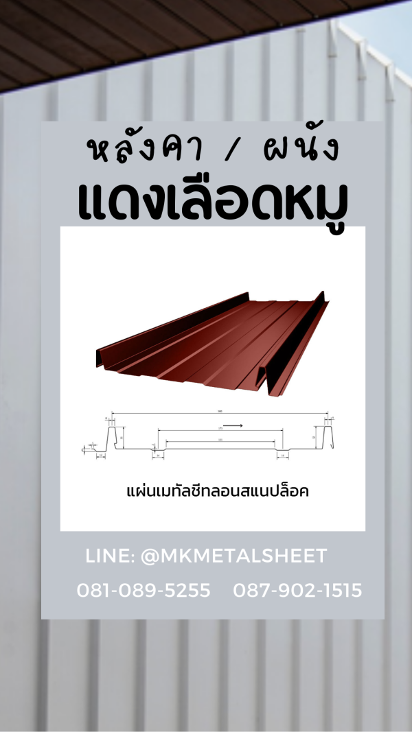 หลังคา BlueScope SnapLock เขียวตะไคร่น้ำ
