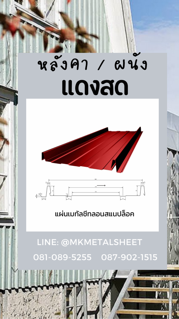 หลังคา BlueScope SnapLock เขียวตะไคร่น้ำ