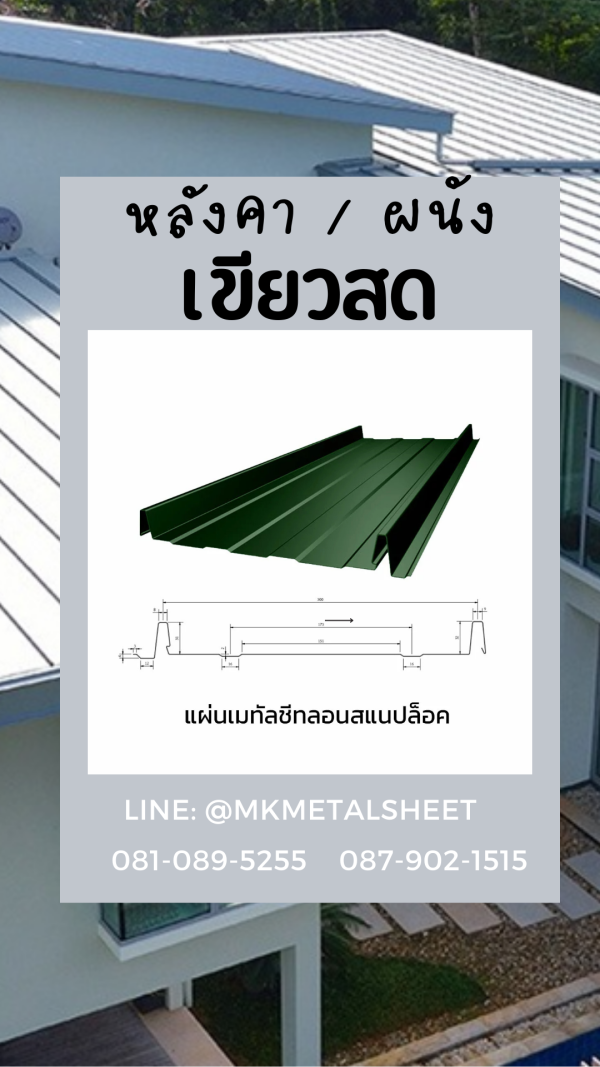 หลังคา BlueScope SnapLock เขียวตะไคร่น้ำ